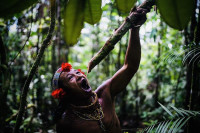 /album/fotogaleria-mentawai-ostrov-ludozrutov-zajazd-vy-a-my/mentaway-siberut-zajazd-jamajkanita-17-jpg/